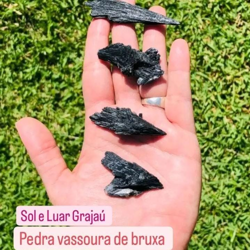 vassoura de bruxa